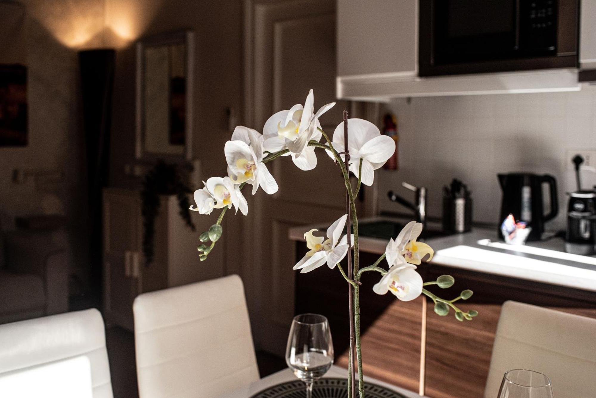 Spanish Steps Apartment & Terrace Rome Luaran gambar