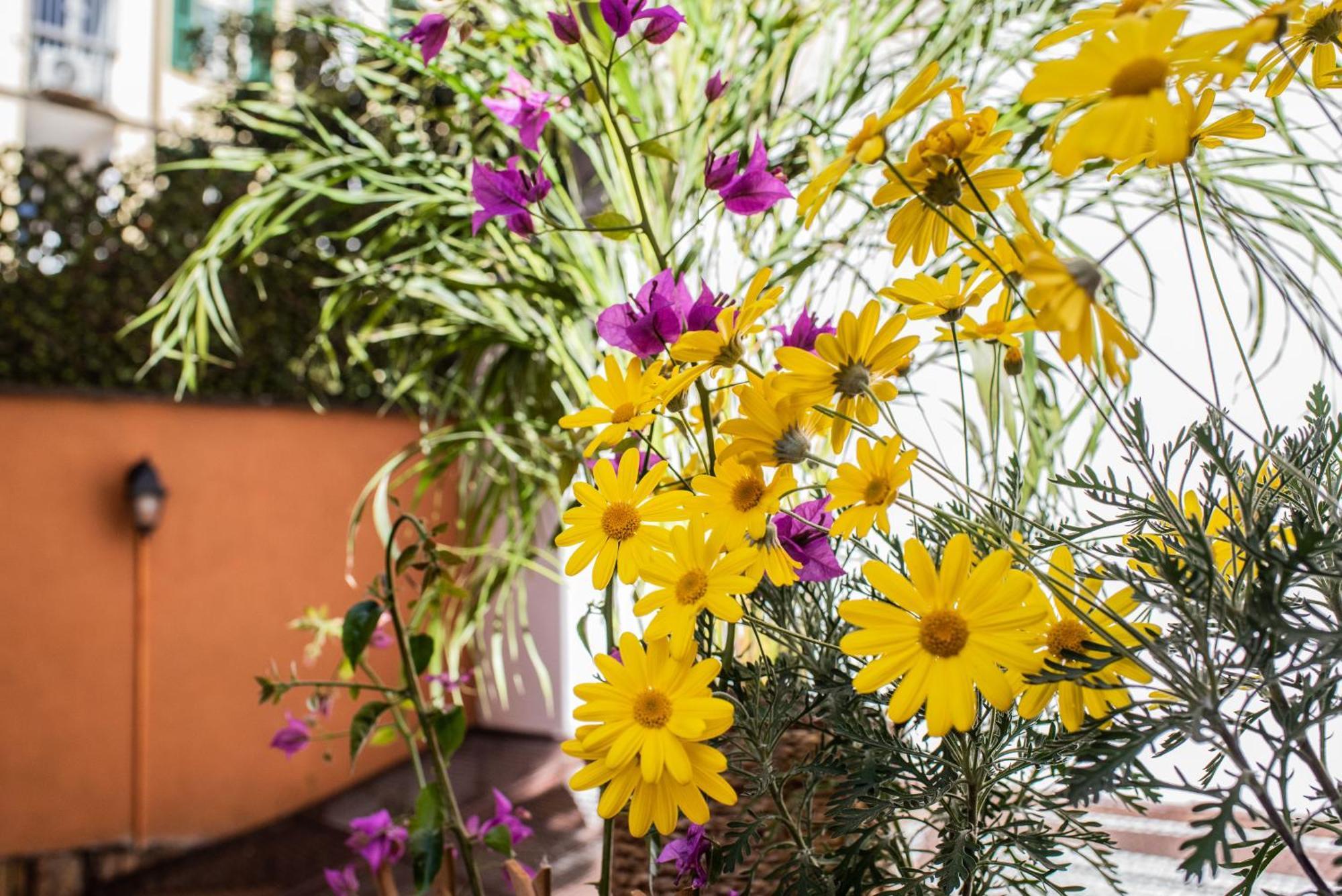 Spanish Steps Apartment & Terrace Rome Luaran gambar